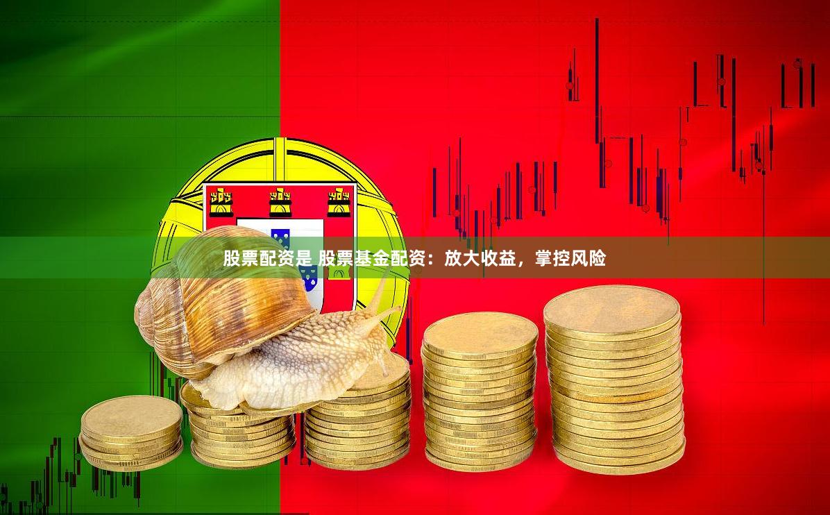 股票配资是 股票基金配资：放大收益，掌控风险