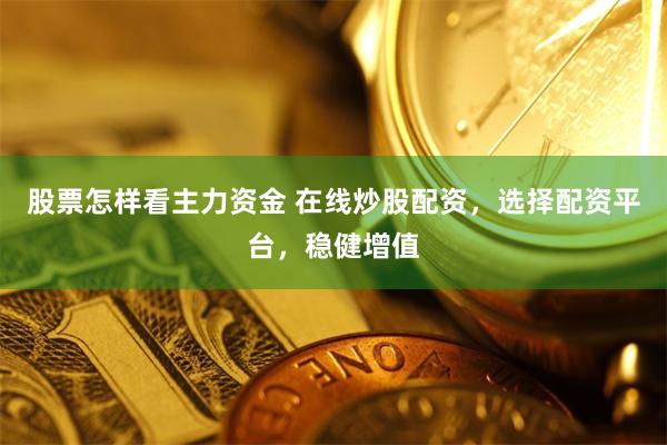 股票怎样看主力资金 在线炒股配资，选择配资平台，稳健增值
