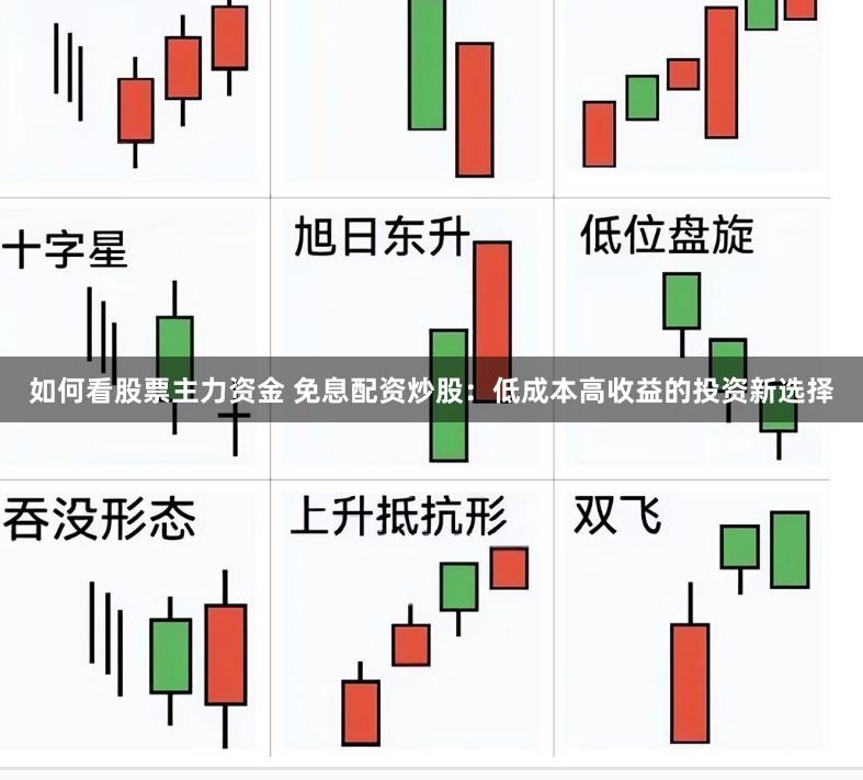 如何看股票主力资金 免息配资炒股：低成本高收益的投资新选择