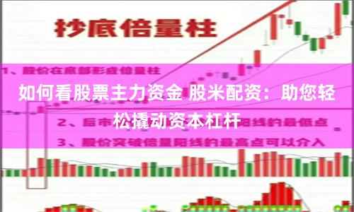 如何看股票主力资金 股米配资：助您轻松撬动资本杠杆