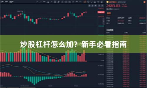 炒股杠杆怎么加？新手必看指南